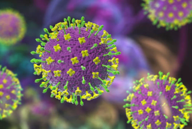 ¿Qué es el virus Nipah, qué síntomas provoca y por qué hay alerta en Tailandia.png