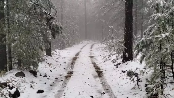 ¿En qué estado en México cayó la primera nevada de la temporada 2024-2025