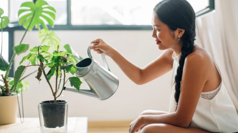 &iquest;C&oacute;mo regar tus plantas cuando sales de vacaciones?.jpg