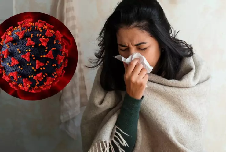 Diferencias entre H3N2 y gripe