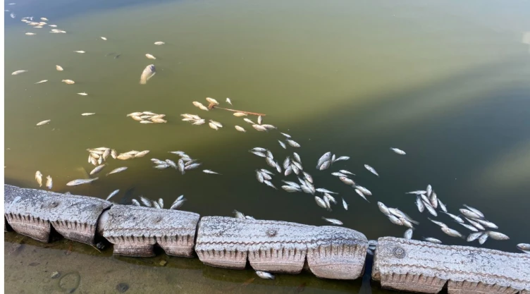 Lago Chapultepec