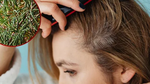 Cómo preparar y usar el romero para quitar la caspa en poco tiempo.jpg