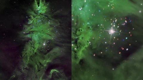 Navidad 2025: NASA revela cómo se formó el “árbol de Navidad” en el espacio