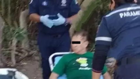 Reportan ataque de cocodrilo en ciénega de Sisal