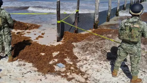 Marina asegura paquete con probable contenido ilícito en su interior en Solidaridad