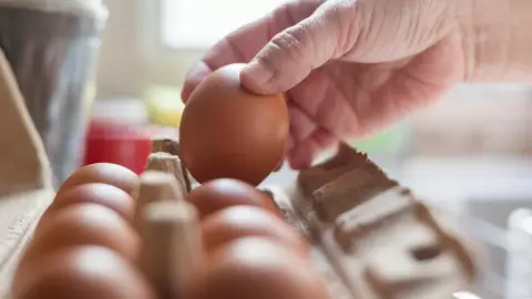 Productos de la canasta básica aumentaron en diciembre 2022