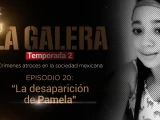 ¿Qué pasó con Pamela Gallardo El caso de la joven que fue a un festival y desapareció.jpg