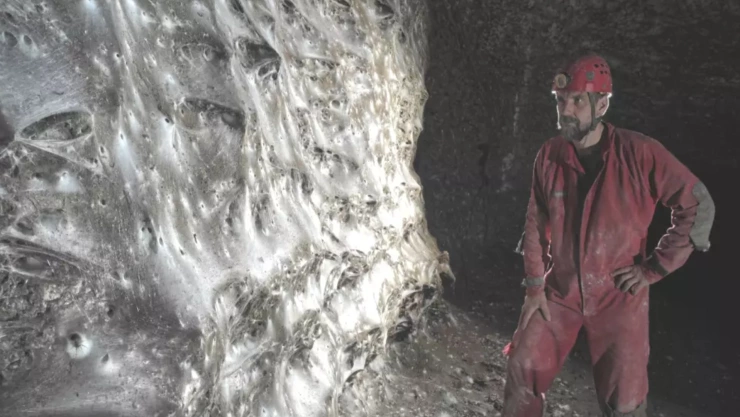 Descubren la telaraña más grande del mundo.