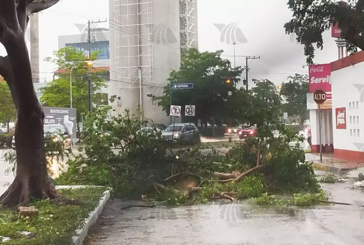 arboles caidos fuertes lluvias hoy en merida jueves 11 de julio