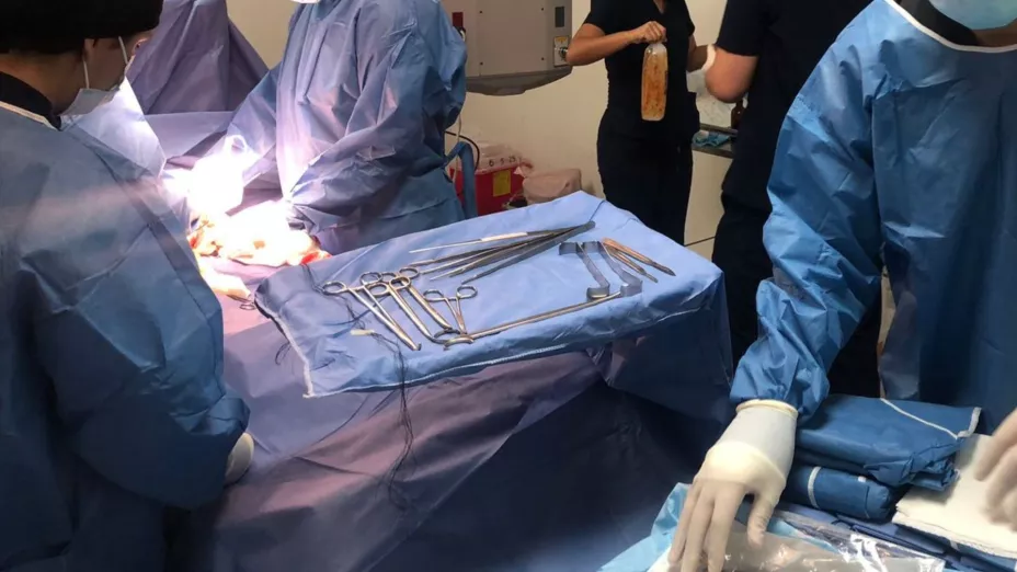 ¡SORPRENDENTE! Mujer despierta del coma antes de que le quitaran los órganos