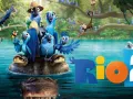 034 Rio2.jpg
