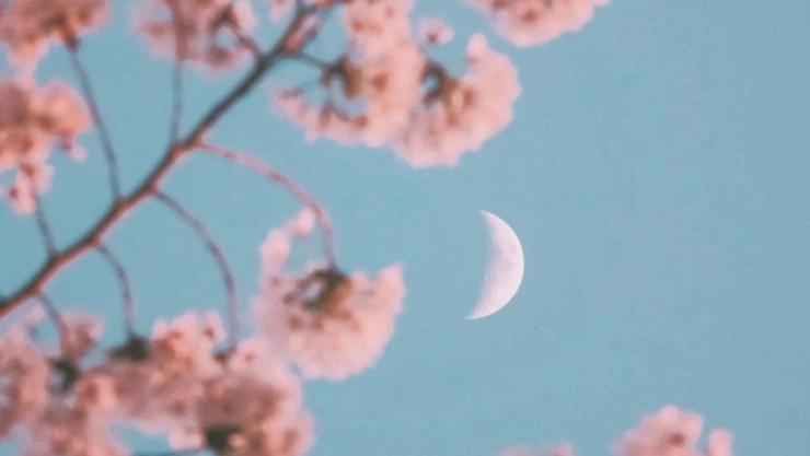 Luna-de-Flores-conjunciones-y-más-Mayo-llega-repleto-de-eventos-astronómicos