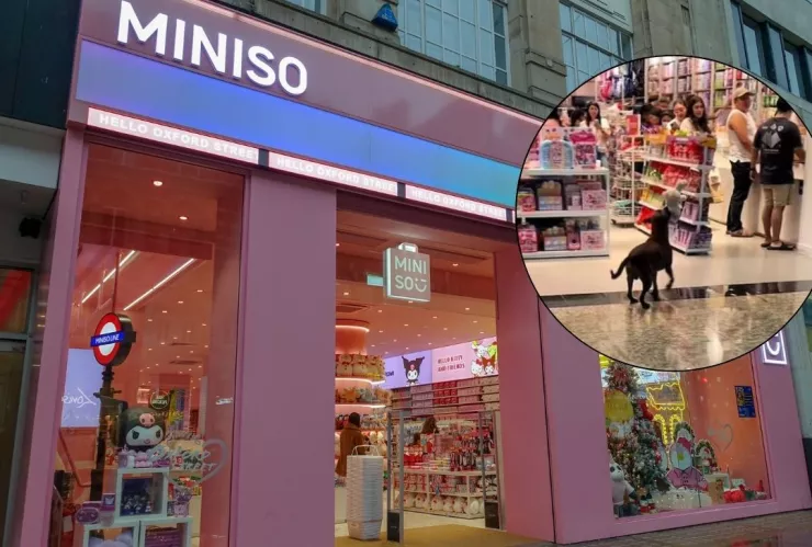 Perro miniso peluche.jpg