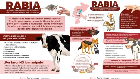 rabia en Zacatecas