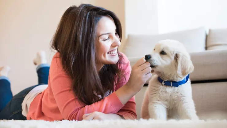 cuantos años viven los perros.jpg