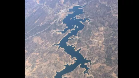 Muestran imagen del dragón azul en Portugal