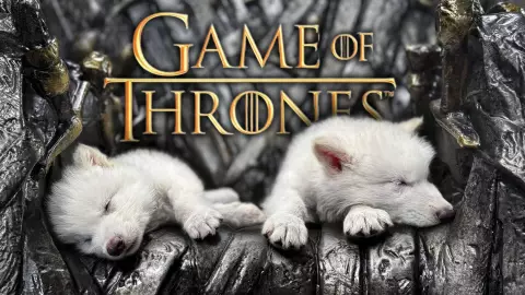 ¿“Game Of Thrones” inspiró la “desextinción” del lobo terrible_ Esto se sabe y su relación con el lobo huargo.jpg