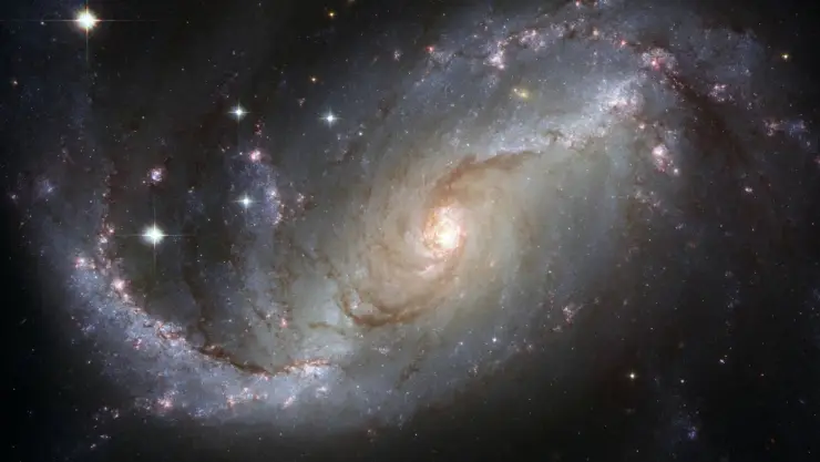 ¡IMPRESIONANTE! Captan a la nebulosa “Cola de caballo” y parece irreal | FOTO