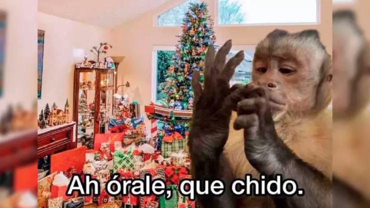 Estos fueron los mejores memes de hoy 6 de enero Día de Reyes Magos.jpg