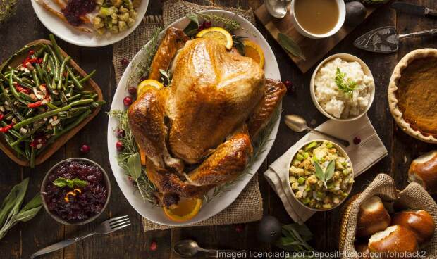 pavo