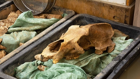 Cementerio, osos, cueva 2.jpg