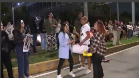 fanáticos de taylor swift.png