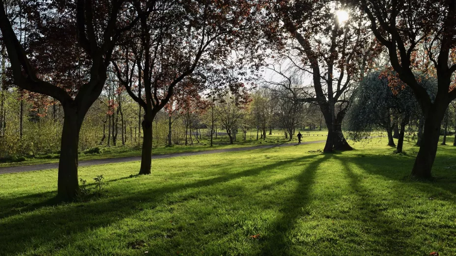 Parques urbanos y áreas recreativas en Aguascalientes: dónde disfrutar la ciudad