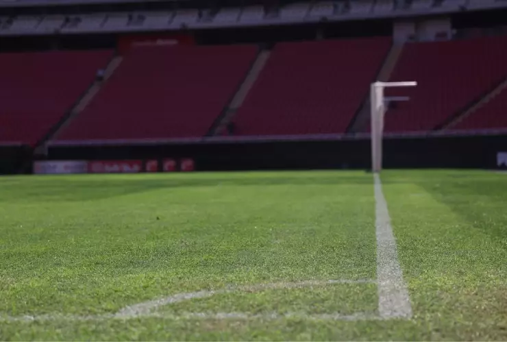 Estadio Akron césped cancha