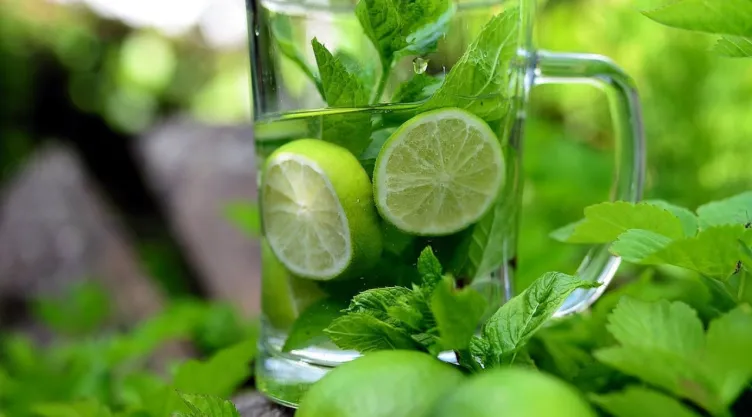 La hierba medicinal que controla la diabetes y no sabías
