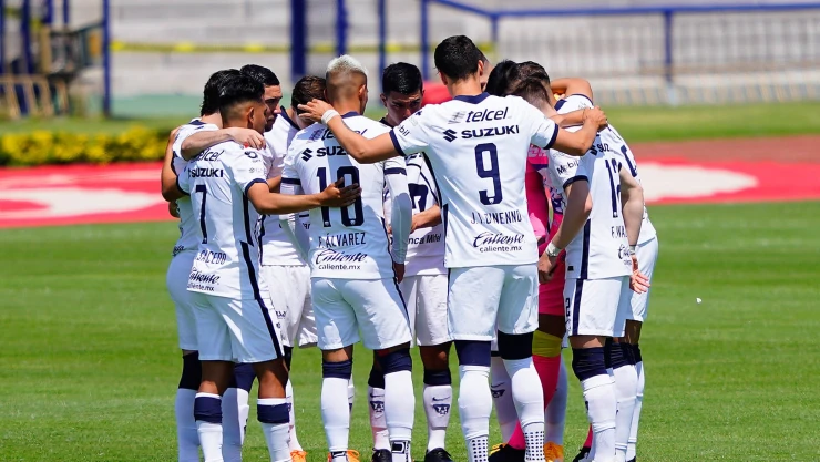 Pumas.jpg