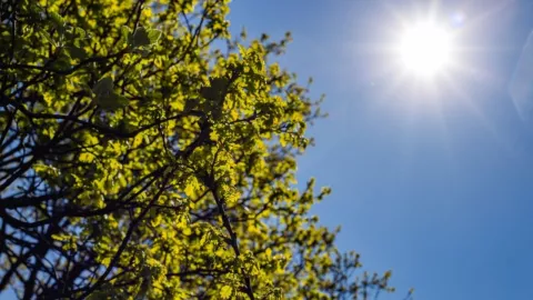 Clima Tijuana hoy domingo 9 de febrero de 2025 ¿Cómo estará el tiempo en municipios de Baja California?