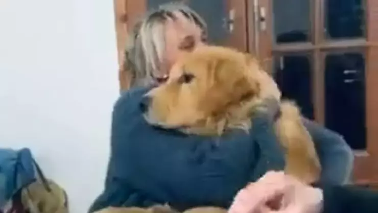 VIDEO Tierna reacción de un perrito cuando el cantan las mañanitas