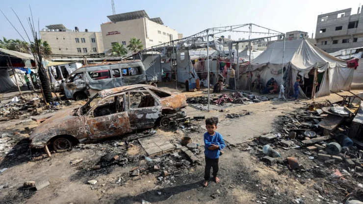 gaza-ninos-perros