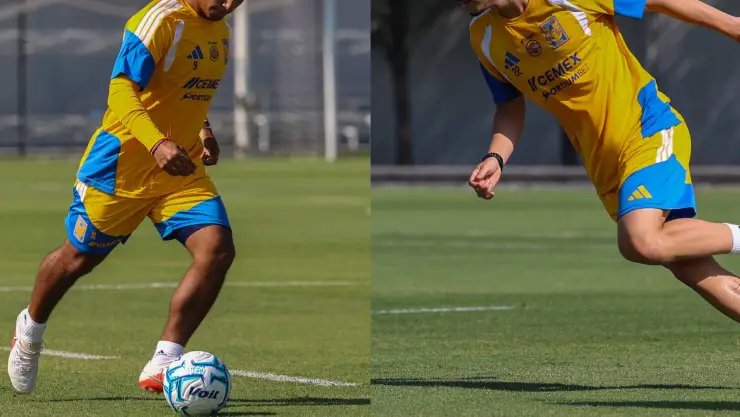 Diego Ramírez y Henrique Simeone Tigres