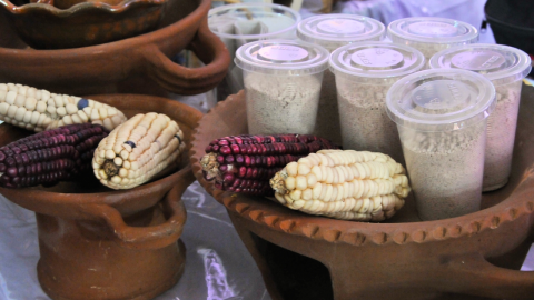 Feria del Tamal CDMX