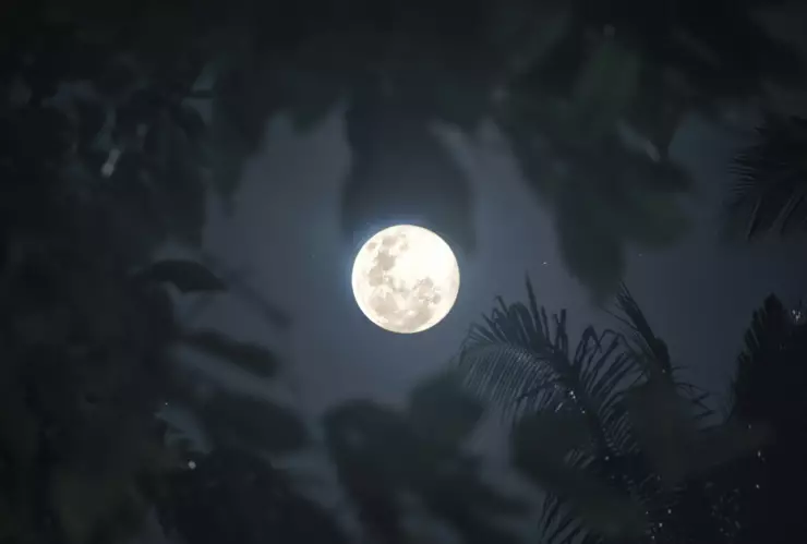 ¿Cuándo y dónde ver la Luna de Nieve? Lo que debes de saber sobre este fenómeno astronómico