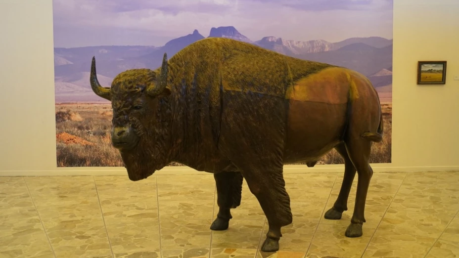 Cuauhtémoc Piña Zona de Bisontes 2025