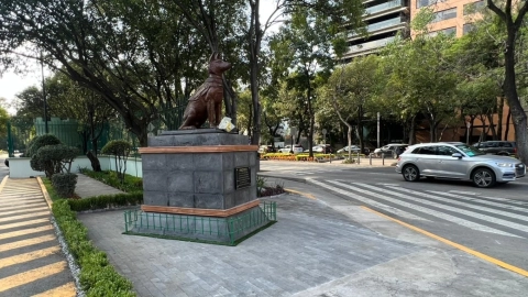 Develan estatua de Proteo, perro rescatista que murió en Turquía