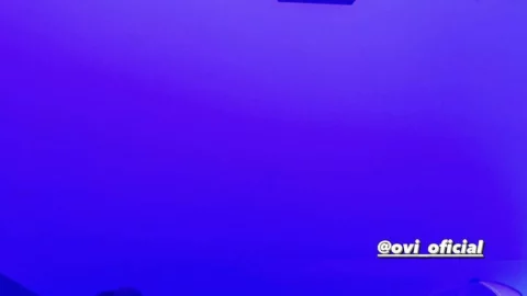 yeri mua sera cantante