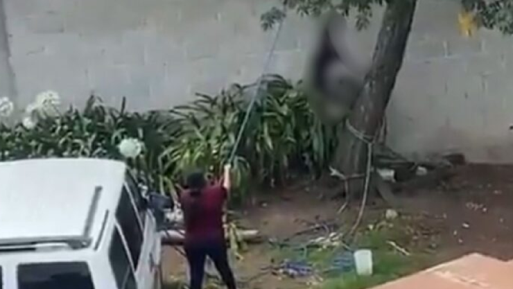 VIDEO: Mujer cuelga a perrito de un árbol en Hidalgo y exhibe el maltrato en redes sociales
