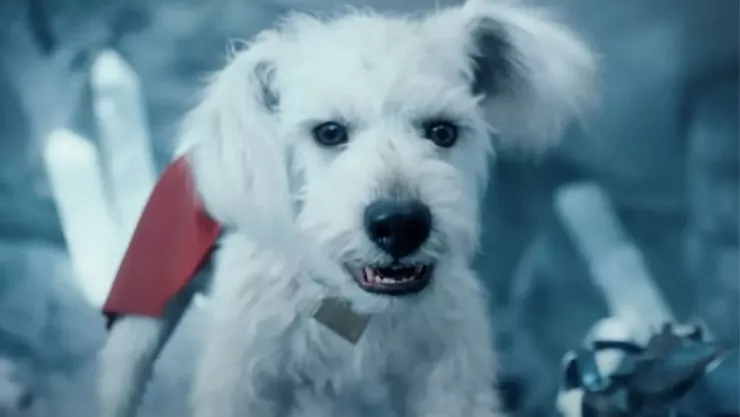 ¿Qué le pasará a Krypto en Supergirl La escena más dolorosa que ya preocupa a los fans de DC