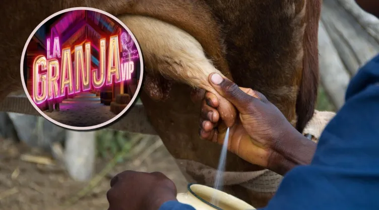 CLAVES PARA ORDEÑAR VACAS.jpg