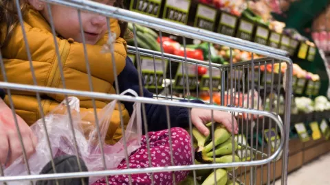 Alimentos de la canasta básica en México con plomo en 2025