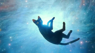 ¿De qué color es el gato de la película “Flow”?