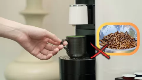 /especiales-azteca/como-eliminar-los-gusanos-blancos-de-tu-cafetera-este-es-el-truco-de-limpieza-definitivo