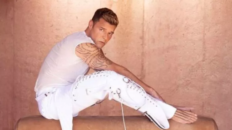 El cantante Ricky Martin podría ir a prisión 50 años por incesto y violencia doméstica.