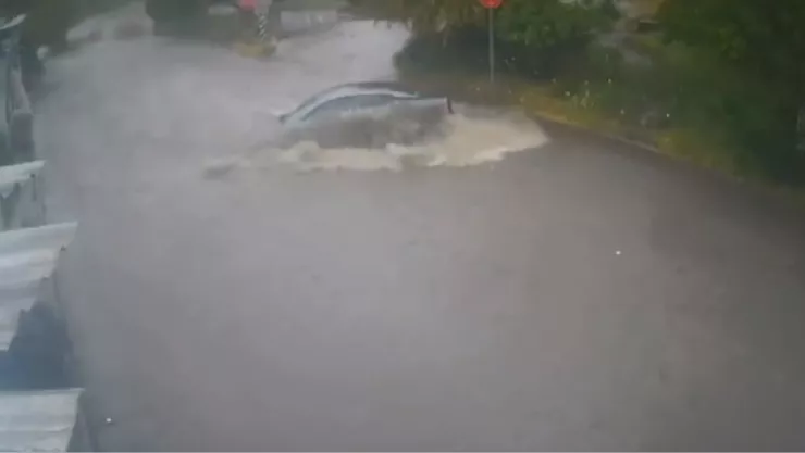 Cañón del Pato Tijuana