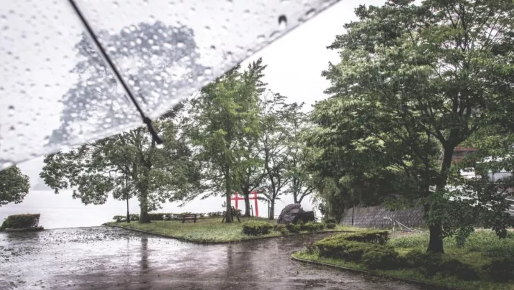 Lluvias en Tijuana febrero de 2025