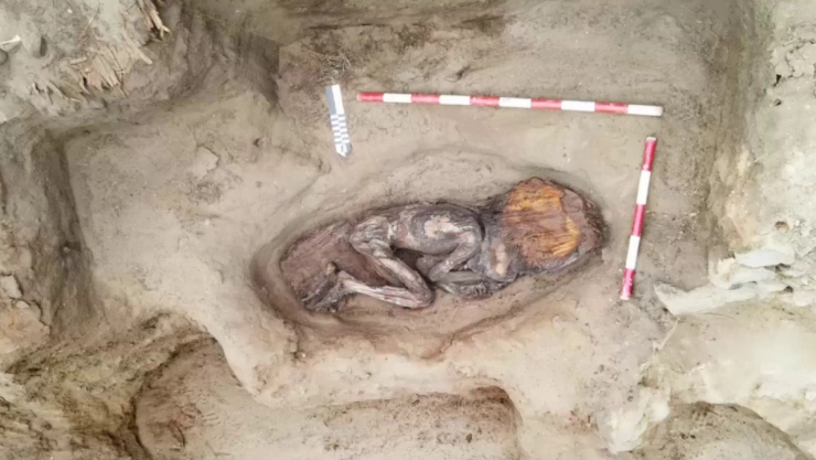 ¿De dónde está la momia encontrada en Perú?