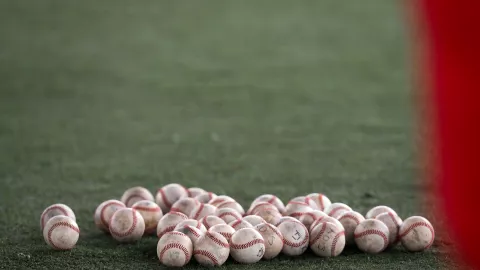 Felix P&eacute;rez Toros de Tijuana lmb